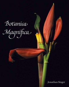 Botanica Magnifica